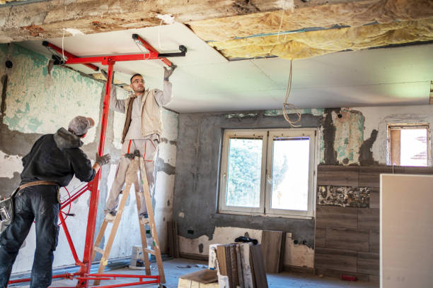 Best Geographic-Specific Insulation Services in Union Hill Novelty Hill, WA